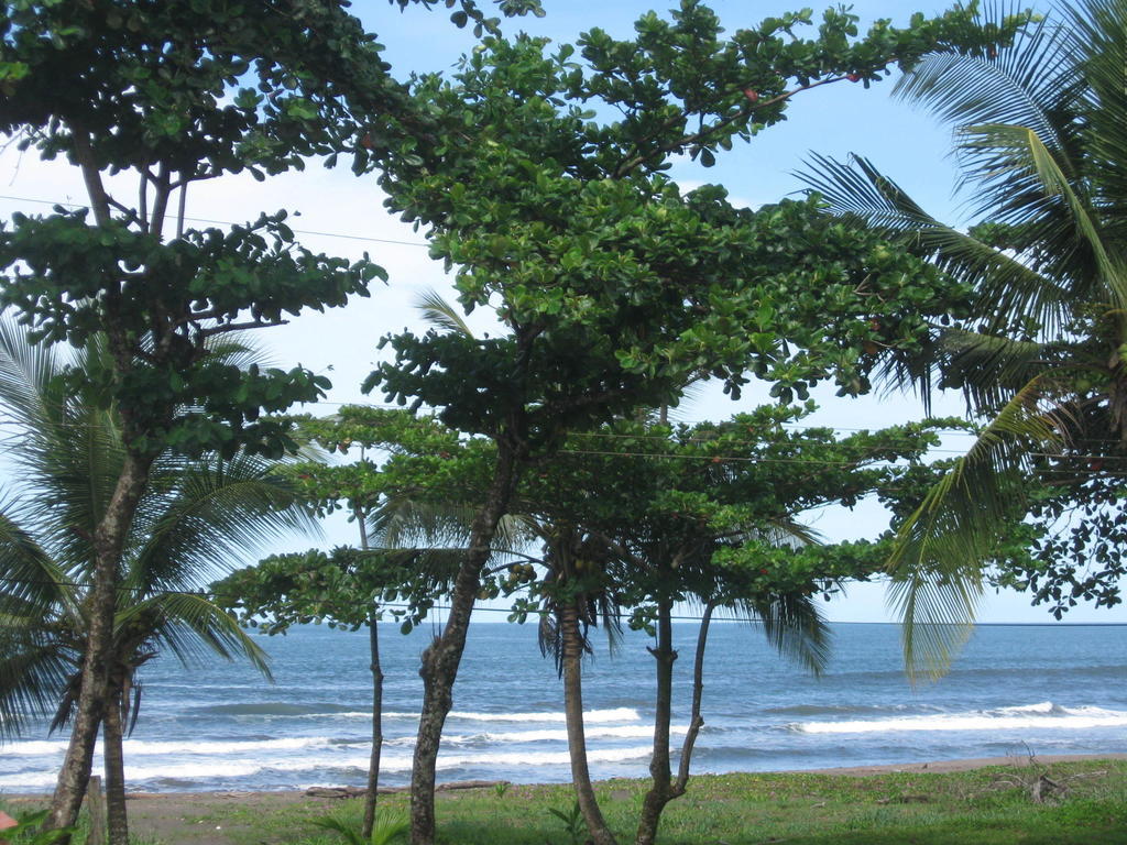 Cabinas Miss Miriam 2 Tortuguero Dış mekan fotoğraf
